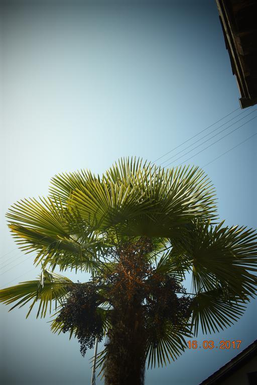 Bali@Blu Daire Sessa Dış mekan fotoğraf